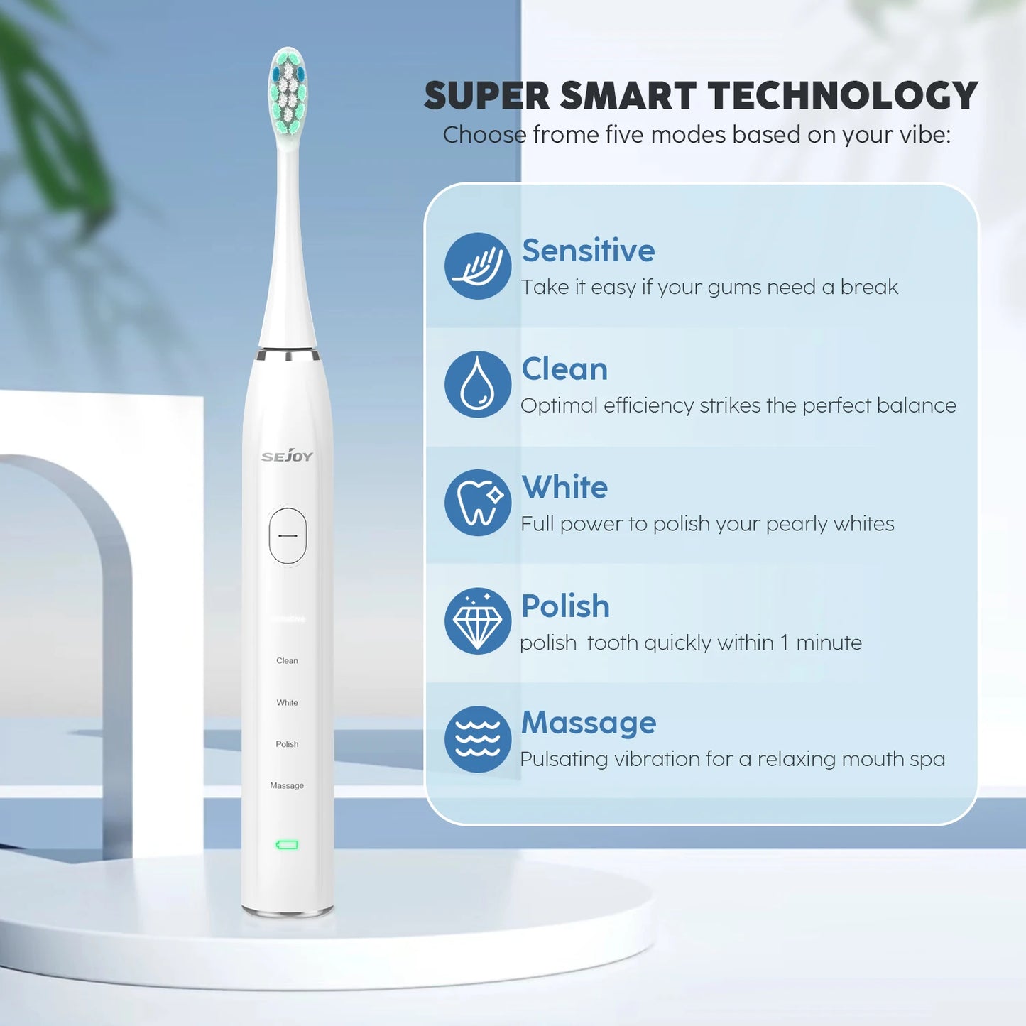 Sejoy USB Rechargeable Smart Electric Toothbrush 12 Heads