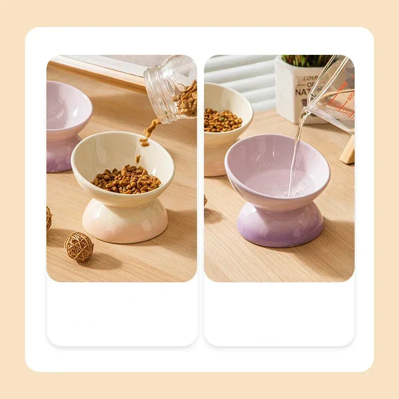 Cat Ceramic Bowl Gradient Pet Food Water Feeder Raised Tilted Design for Small Dogs and Cats