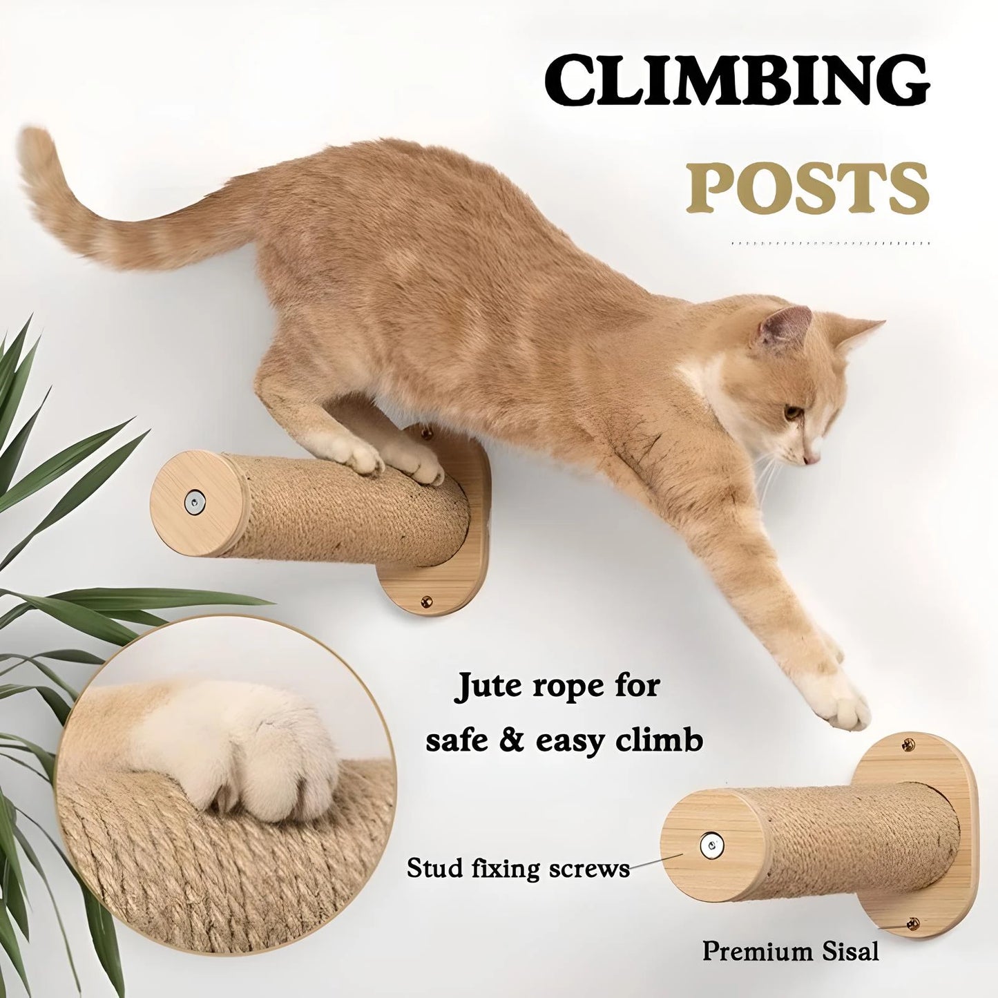 Cat Hammock Wall Mounted Cat Shelf With Two Steps Wood Cat Wall Shelves And Perches For Sleeping Playing Climbing And Lounging