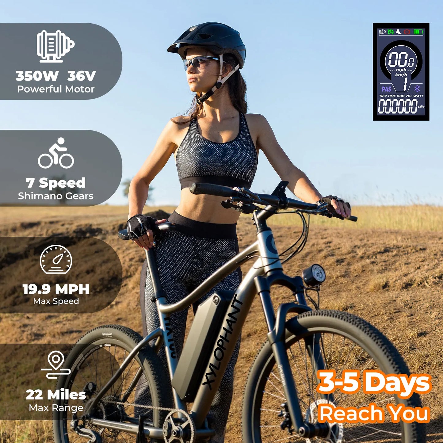 Adult Racing Electric Bike Mountain Lightweight Electric Bike 350W Brushless Motor 360Wh Detachable Battery