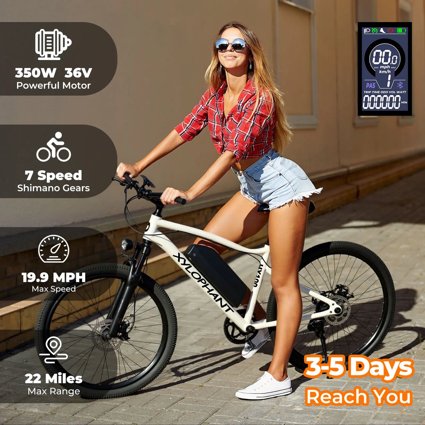 Adult Racing Electric Bike Mountain Lightweight Electric Bike 350W Brushless Motor 360Wh Detachable Battery