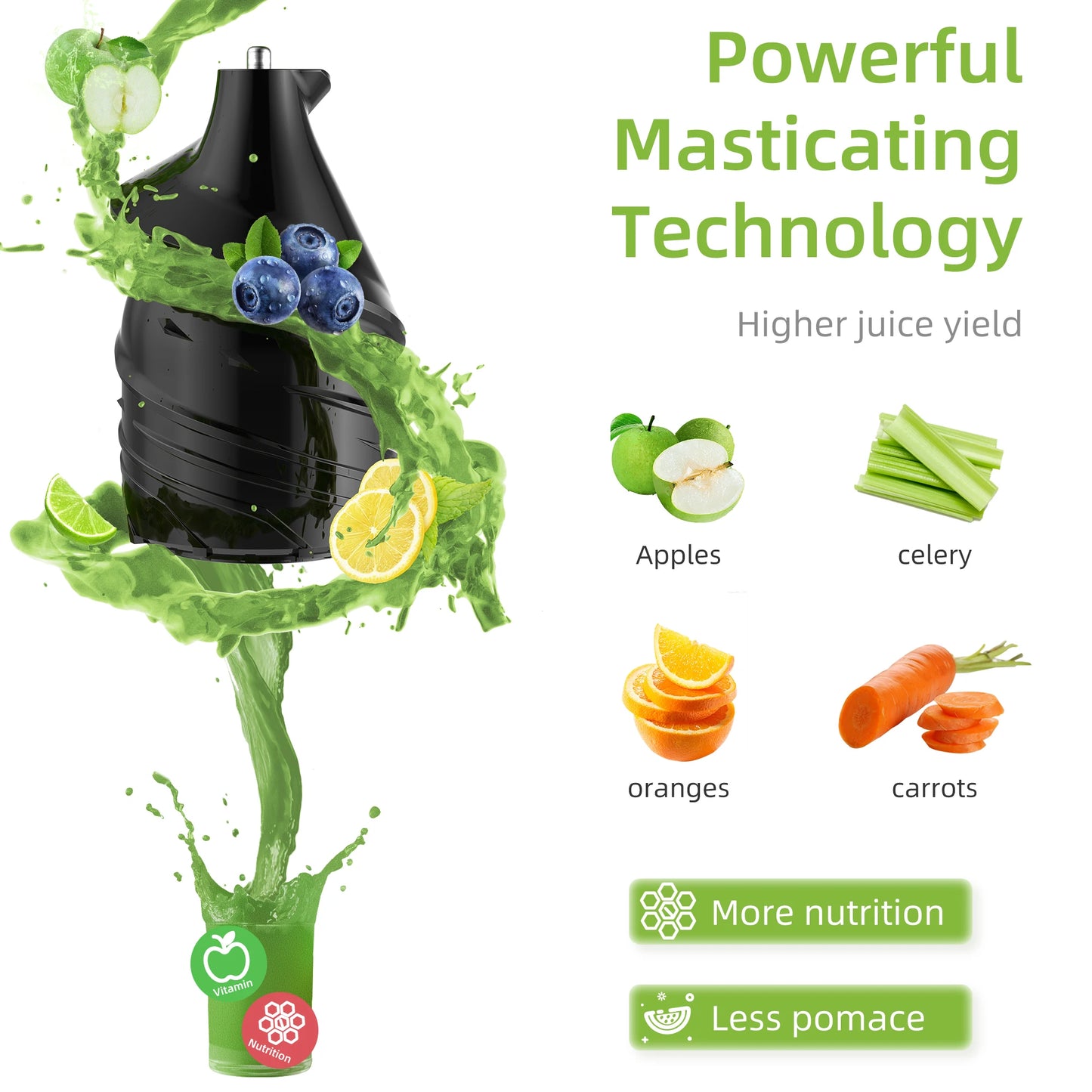 Biolomix Slow Masticating Juicer For Whole Fruits Everyday
